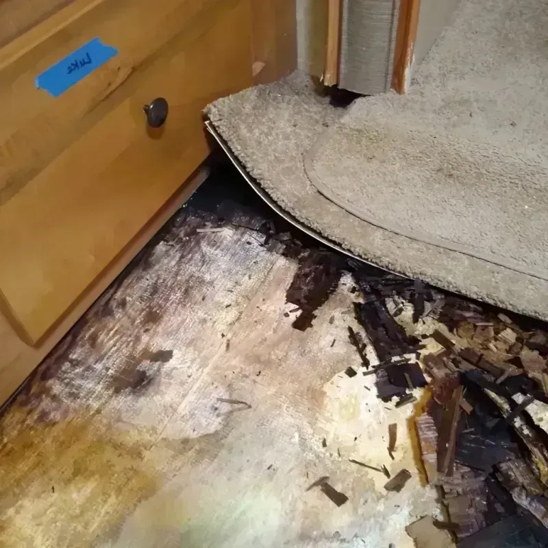 Wood Floor Water Damage in Chevy Chase, MD